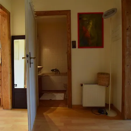 Tolstov Big 2 With Balcony Apartment *